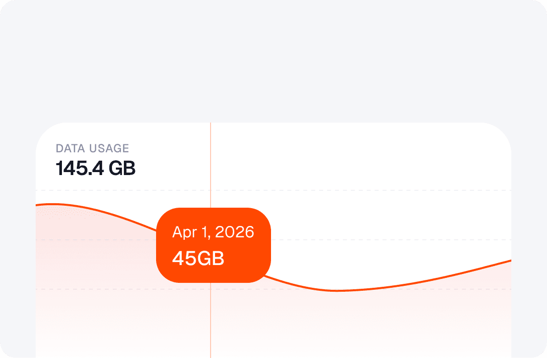 Data usage monitoring chart